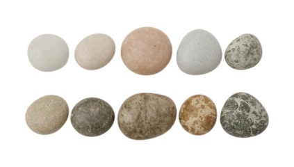A collection of diverse bird eggs, showcasing a variety of natural colors and subtle speckling patterns, arranged in two rows against a clean white background