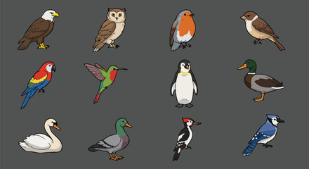 A vibrant collection of illustrated birds, including a majestic eagle, a wise owl, and a colorful parrot, against a neutral background.