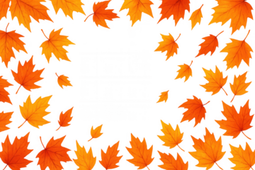 Autumn maple leaves creating a decorative fall season frame with copy space, transparent background