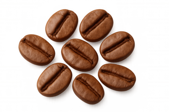 Roasted arabica coffee beans forming a circular pattern on transparent background, top view, ready for brewing espresso