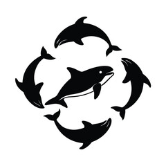 dolphin isolated on white background