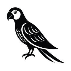 vector illustration of a bird