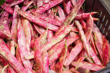 A full frame, close-up view of fresh Borlotti or Cranberry bean pods with vibrant pink and green speckles, piled in a black market crate in Porto