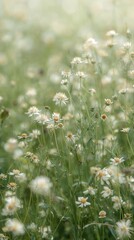 Elegant botanical background