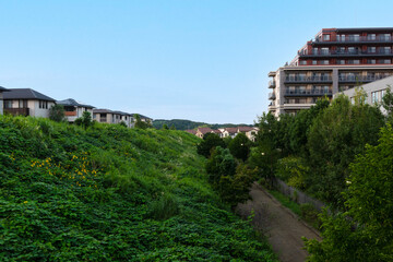 自然が豊かな住宅地