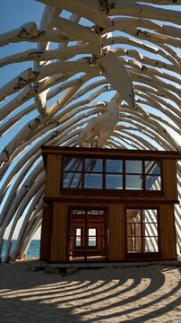 Maison en bois sous structure g&eacute;ante de c&ocirc;tes blanches