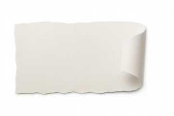 Torn paper scroll blank note template with curled edge, copy space, transparent background