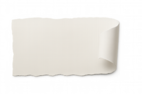 Torn paper scroll blank note template with curled edge, copy space, transparent background