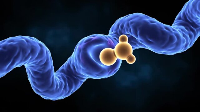 Protein Molecule Binding Illustration
