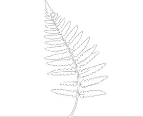 Minimalist Outline Detailed Fern Leaf Botanical Illustration Graphic Element