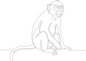 Minimalist Outline Sitting Macaque Monkey Primate Animal Isolated Line Art