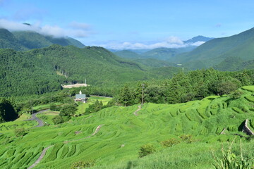 三重　三重県　丸山千枚田