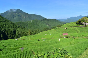 三重　三重県　丸山千枚田