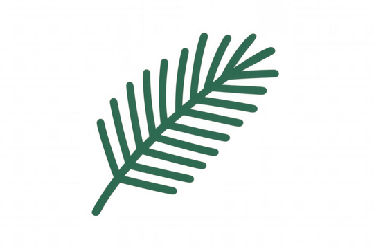 Green palm frond illustration, tropical plant branch, summer decoration design element on transparent background
