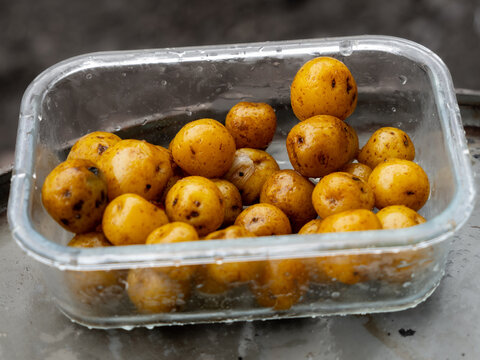 Chaucha potatoes from Ecuador, an Andean tuber