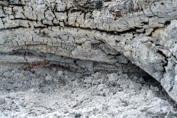 Natural texture of ash from a fire.