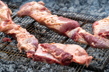 Pork ribs, barbecue in the countryside