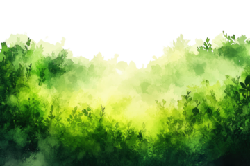 Verdant foliage watercolor illustration with sunny glow at the horizon