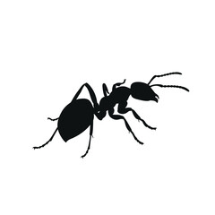 Silhouette of a black ant in profile view showing detailed legs and antennae for nature exploration isolated on white background Vector Illustration