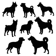Diverse dog breed silhouettes collection featuring various poses and paws perfect for pet graphics isolated on white background Vector Illustration