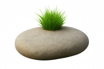 Grass tuft growing from a smooth gray stone, symbolizing life, nature, balance, and resilience on transparent background