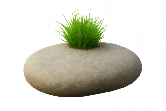 Grass tuft growing from a smooth gray stone, symbolizing life, nature, balance, and resilience on transparent background