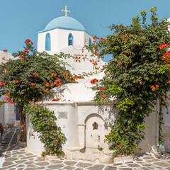 Fototapete bei efototapeten.de bestellen   