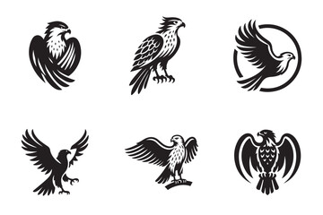 Naklejka premium Collection of stylized falcon and eagle illustrations