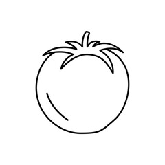Outline fresh tomato vegetable food line art icon