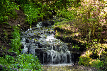Cascading waterfall flowing over mossy rocks in a vibrant green forest, creating a serene natural scene