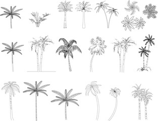 Line-drawn palm trees in various styles and angles — perfect for tropical landscape design, architectural visualization, or decorative illustration in vector format.
