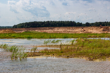 Sand quarry with excavators and trucks extracting sand near a tranquil lake and green reeds under a cloudy sky with flying birds