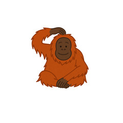 オランウータンのカラーアイコン、動物、イラスト、素材、背景なし、資料作り