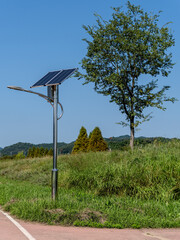 Solar light pole near green tree