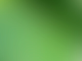 Green nature background, blur bokeh soft sunlight spring forest summer backdrop, beautiful foliage natural glowing spa aroma wallpaper leaf abstract effect beauty blurred