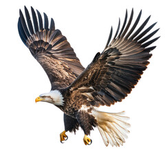 Eagle stretching An eagle stretches its wings wide or flaps them. full length isolate on transparent background
