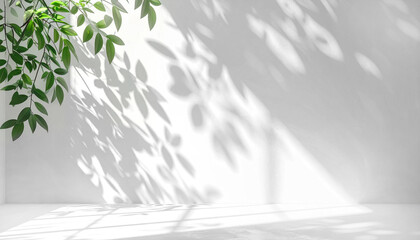 白い背景におしゃれな葉っぱの影