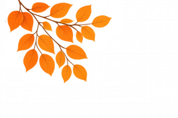 Autumn leaves branch with vibrant orange foliage displaying the fall season on a transparent background