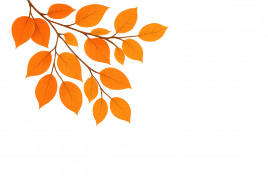 Autumn leaves branch with vibrant orange foliage displaying the fall season on a transparent background