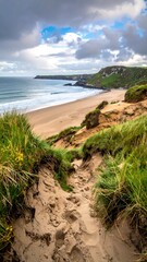 View of a sandy beach on a cloudy day