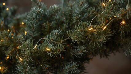 Fir branches with glowing garland close up - Christmas background - Christmas tree branches
