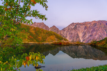夜明けの八方池に映る紅葉の白馬三山