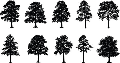 Collection of realistic tree silhouettes, isolated black tree shapes on white background, nature forest illustration, vector tree design for landscape art