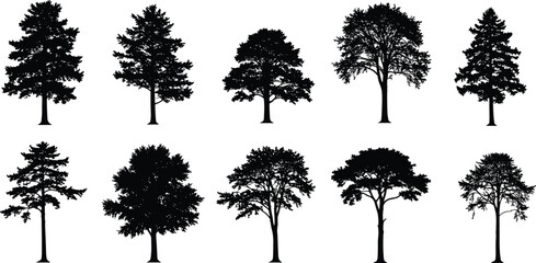 Collection of various tree silhouettes, natural forest vector illustration, detailed black shapes of pine, oak, and maple trees for design