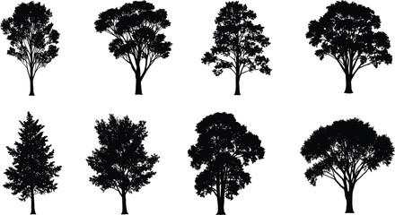 Collection of different tree silhouettes, forest plants vector set, natural tree shapes for landscape design, black nature illustration art