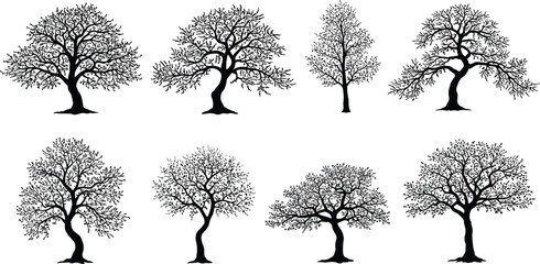 Collection of detailed tree silhouettes with branches and leaves, natural forest plant shapes for landscape design, black vector illustration art