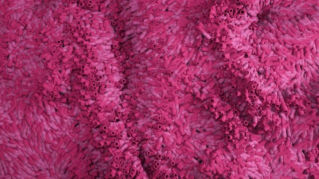 Cluster of pink tubular objects shift slowly in dense organic layer showing gradual surface motion and fiber-like detail