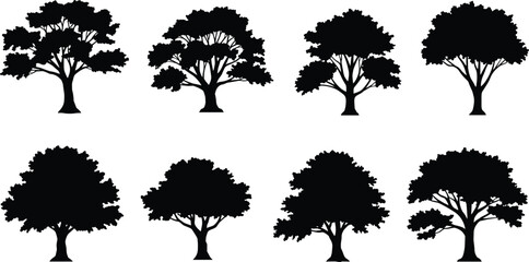 Collection of tree silhouettes isolated on white background, black vector illustration, natural forest design, oak tree shapes for landscape and art