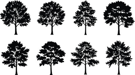 Collection of tree silhouettes isolated on white background, detailed forest tree shapes, natural botanical vector design for landscape illustration