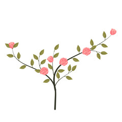 A small bush with blooming light pink roses. Vector illustration on a white background.